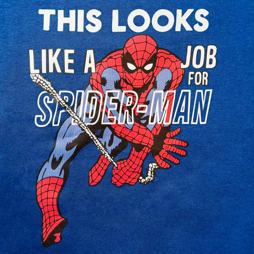 Boys Spider-Man Graphic Sweatshirt in - Royal Blue