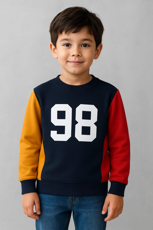 Boys Multicolored Sporty Stylish Sweatshirt