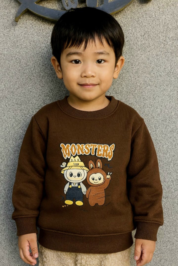 Lovely Sweatshirt for Lovely Boys