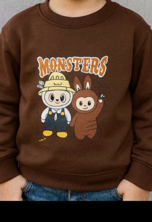 Lovely Sweatshirt for Lovely Boys